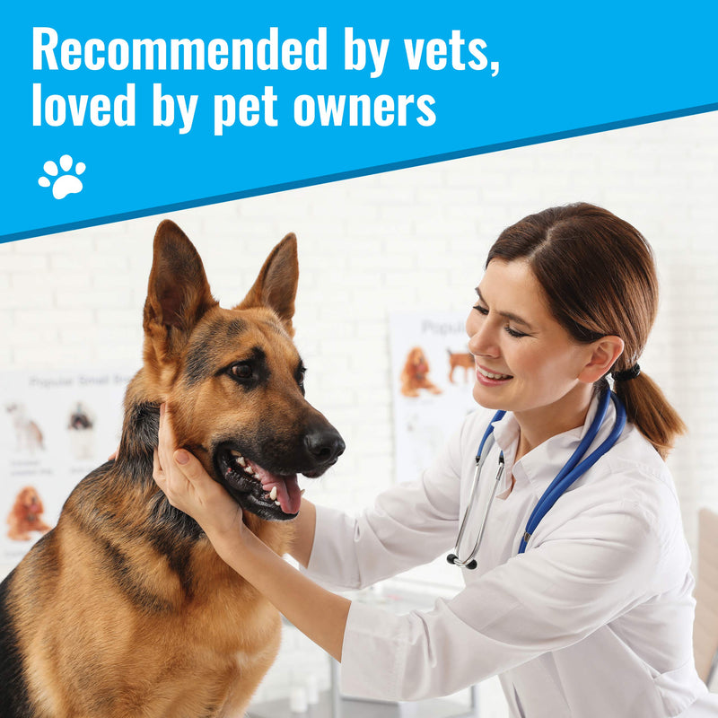 Mushroom Matrix Maximum Recovery and Senior Support Supplements 200 grams - BeesActive Australia