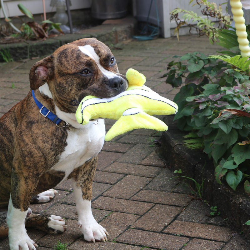Snuggle Puppy Tender-Tuffs Big Shots - Large Plush Dog Toys for Medium and Large Breeds - Stuffed Yellow Angelfish with Puncture Resistant Squeaker - BeesActive Australia