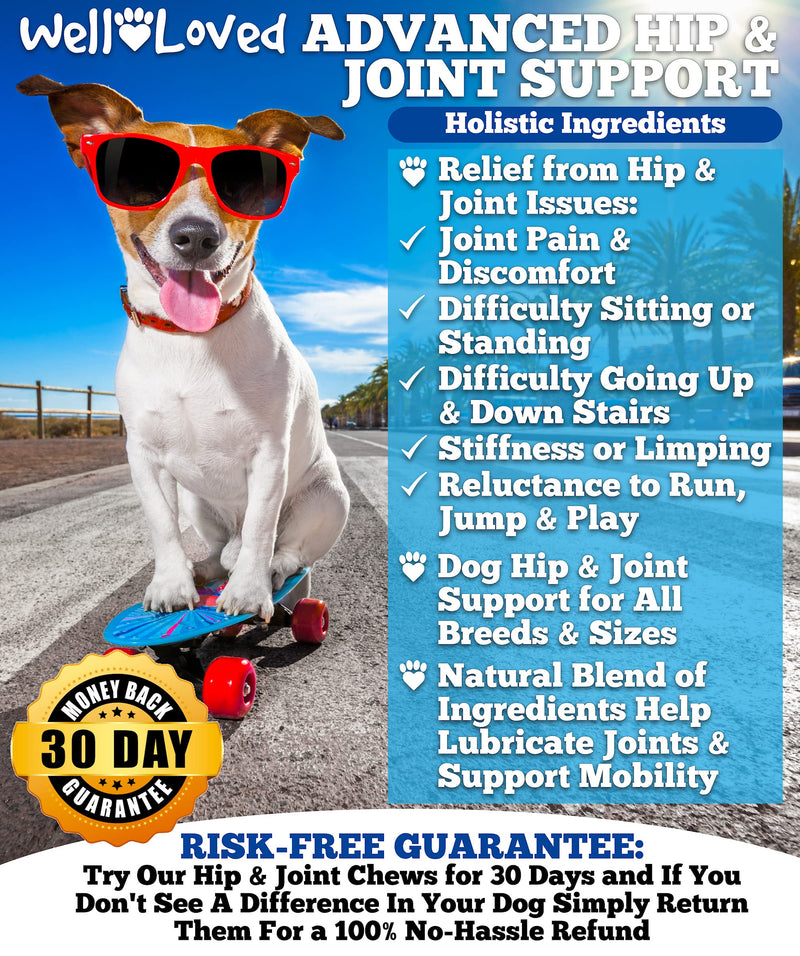 Well Loved Glucosamine for Dogs - Joint Supplement for Dogs, Made in USA, Vet Developed, Dog Joint Supplement, Glucosamine Chondroitin for Dogs, Advanced Hip and Joint Chews with MSM, Pain Relief, 120 - BeesActive Australia