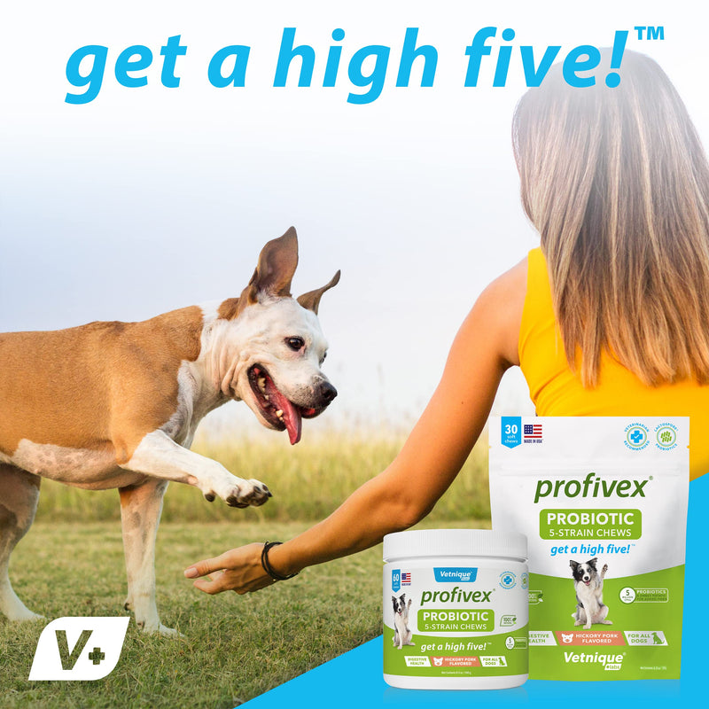 Glandex for Dogs 30ct Soft Chews and Profivex Dog Probiotics 30ct Soft Chews Bundle - by Vetnique Labs - BeesActive Australia
