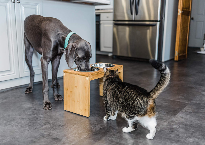 Large 12" Tall Elevated Dog & Pet Feeder- Double Bowl Raised Food & Water Stand- Includes 2 Extra Stainless Steel Bowls, 4 Bowls Total 12" - BeesActive Australia