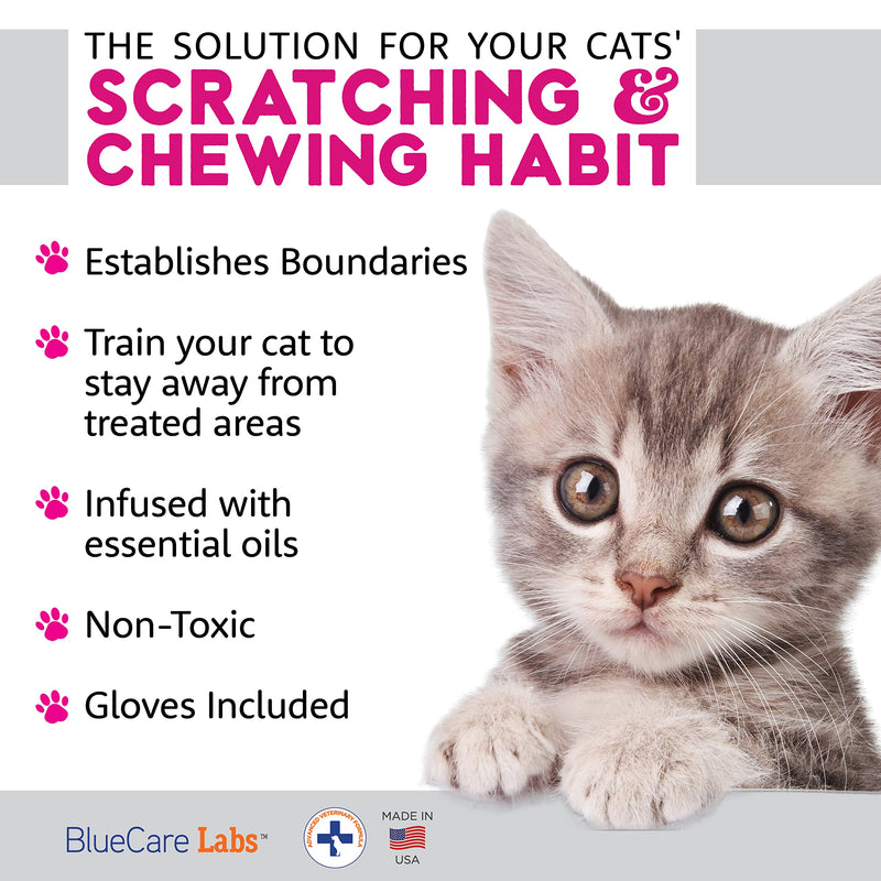 Cat Repellent Spray Anti Scratch Furniture Protector | Non-Toxic Cat Spray Deterrent | Cat & Kitten Bitter Spray Training Aid to Keep Cat Off & Establish Boundaries | Indoor & Outdoor Use, USA Product - BeesActive Australia