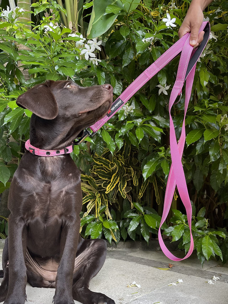 Tuff Pupper Heavy Duty Double Handle Dog Leash | Twist Locking Carabiner Dog Clip | Safety Lock Leash To Hold Strong Dogs | Reflective For Safe Night Walks | 6 Foot Dog Leash | For Medium & Large Dogs 72 Inch (Pack of 1) Hot Pink - BeesActive Australia