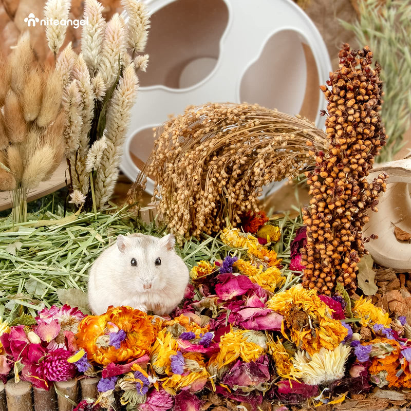 Niteangel Natural & Soft Hamster Bedding Mate Small Animal Habitat Decor for Syrian Dwarf Hamsters Gerbils Mice Degus Bunny or Other Small-Sized Pet Flowers Scent Path - BeesActive Australia