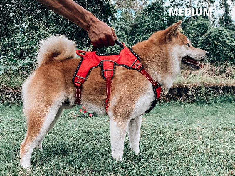 Tuff Pupper Updated for 2022 - Tracker No Escape Dog Harness | Dual Escape Proof Leash Attachments | 5 Point Adjustable Fit Harness for Dogs | Padded Dog Harness for Comfort | Handle Dog Lift Harness Medium (Neck: 18-23" , Chest: 22-31") March Red - BeesActive Australia