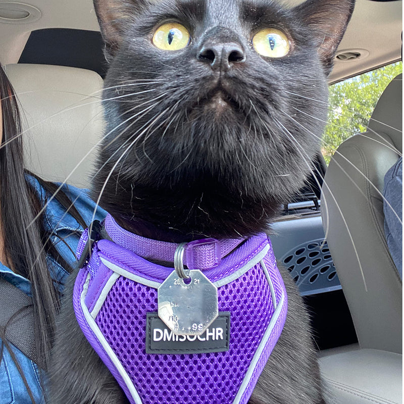 IPRAVOCI Cat Harness - Escape Proof Reflective Cat Harness and Leash for Small to Large Cats, Puppy, Small Dog - Adjustable Mesh Breathable Pink Cute Cat Harness for Walking Training Hiking S (neck7"-11" chest10.5"-16" ) Purple - BeesActive Australia