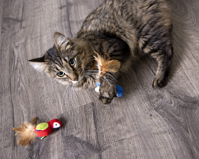 Petlinks Electronic Sound Cat Toys for Cats & Kittens, Stimulating & Satisfies Instincts, Battery Powered - Multiple Styles Set of 1 Parrot Tweet (Randomly Selected Color) - BeesActive Australia