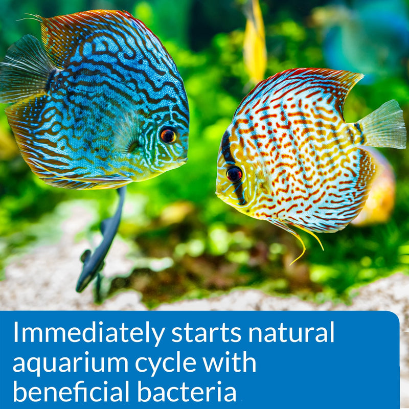 API Quick Start Nitrifying Bacteria, for Freshwater and Saltwater Aquarium 16-Ounce - BeesActive Australia