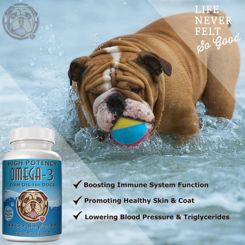 ScruffyPet Pure Omega 3 Wild Fish Oil for Dogs with Vitamin E - Highest EPA & DHA Softgels Available (1000mg) 180ct - BeesActive Australia