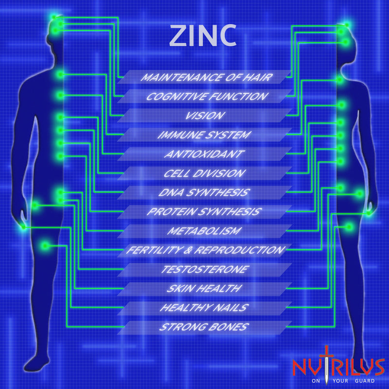 Zinc Citrate 120 Capsules 15mg - Bioavailable Form - Daily Capsules - not Tablets - Immune, Bone, Vision, Hair, Nails, Skin, Fertility - BeesActive Australia