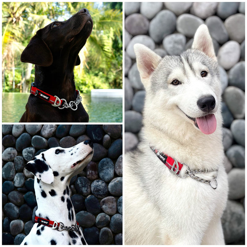 Tuff Pupper Martingale Collar for Dogs | Gentle Nylon & Steel Chain Limited Cinch Design is Perfect for Training | Dual Leash Attachment Points | Durable Quick Release Buckle | Sizing for All Breeds Small (12-16" Neck) Fiery Red - BeesActive Australia
