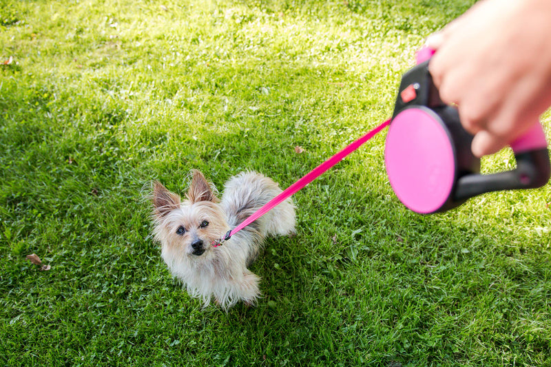 WIGZI Durable Liquid Filled Gel Handle Comfort Grip Retractable Dog Leash, Rust Proof, All Webbing Tape, up to 16' & 110Lbs, EZ on/Off Lock with Enhance Retraction Technology Medium Pink - BeesActive Australia