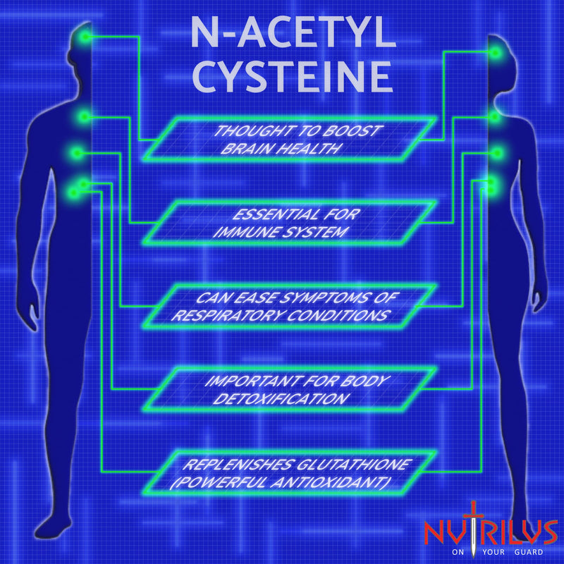 N-Acetyl Cysteine (NAC) 120 Capsules 600mg High Bioavailability Amino Acid Supplement - Vegan - UK Made - Liver, Lungs Support, Antioxidant - BeesActive Australia