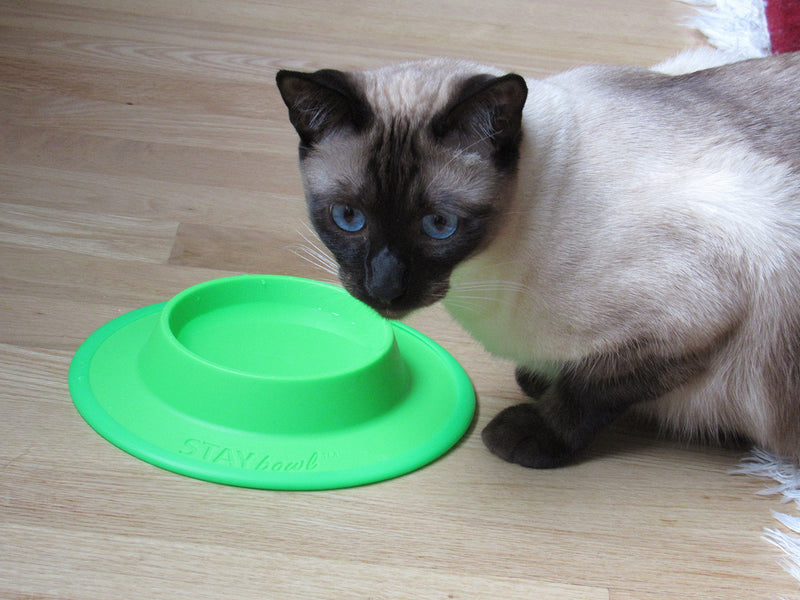 STAYbowl NO-Slip/NO-TIP Pet Food and Water Bowl for Cats (3/4 Cup in Four Colors Sky Blue - BeesActive Australia