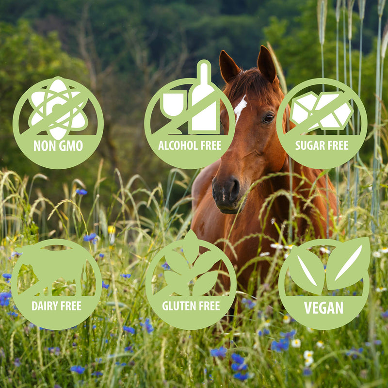 Siddha Remedies Abandonment & Separation for Pets | Natural Homeopathic Remedy for Dogs, Cats, and Animals | Naturally Helps Animals with Fears and Obsessive Behaviors | Supports Healthy Independence - BeesActive Australia