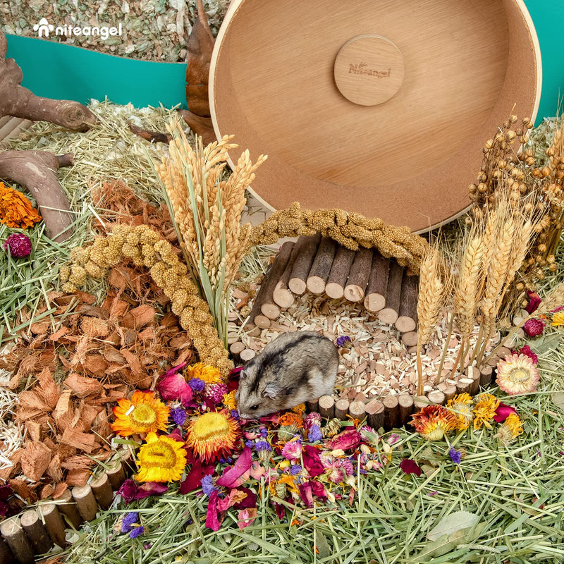 Niteangel Natural & Soft Hamster Bedding Mate Small Animal Habitat Decor for Syrian Dwarf Hamsters Gerbils Mice Degus Bunny or Other Small-Sized Pet Flowers Scent Path - BeesActive Australia