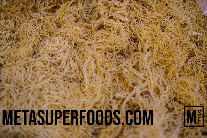 Dried Irish Sea Moss 100g | Caribbean Sea Moss | UK Made | Vegan | Wild Harvested | Non GMO | Natural Vitamins & Minerals | Dr Sebi - BeesActive Australia