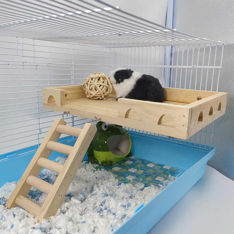 RABBITP Wood Bird Perch-Toys and Accessories for Parrot, Parakeet, Syrian Hamster, Ferret, Chinchilla, Guinea Pig-Hamster Play Stand Platform with Ladder… L - BeesActive Australia