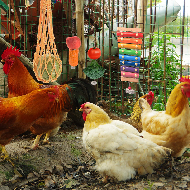 KAKUNM Chicken Toys for Coop 7PCS | Chicken Xylophone | Chicken Swing Set | Chicken Mirror Toy | Chicken Flexible Ladder | Chicken Vegetable String Bag and Hanging Feeder - BeesActive Australia