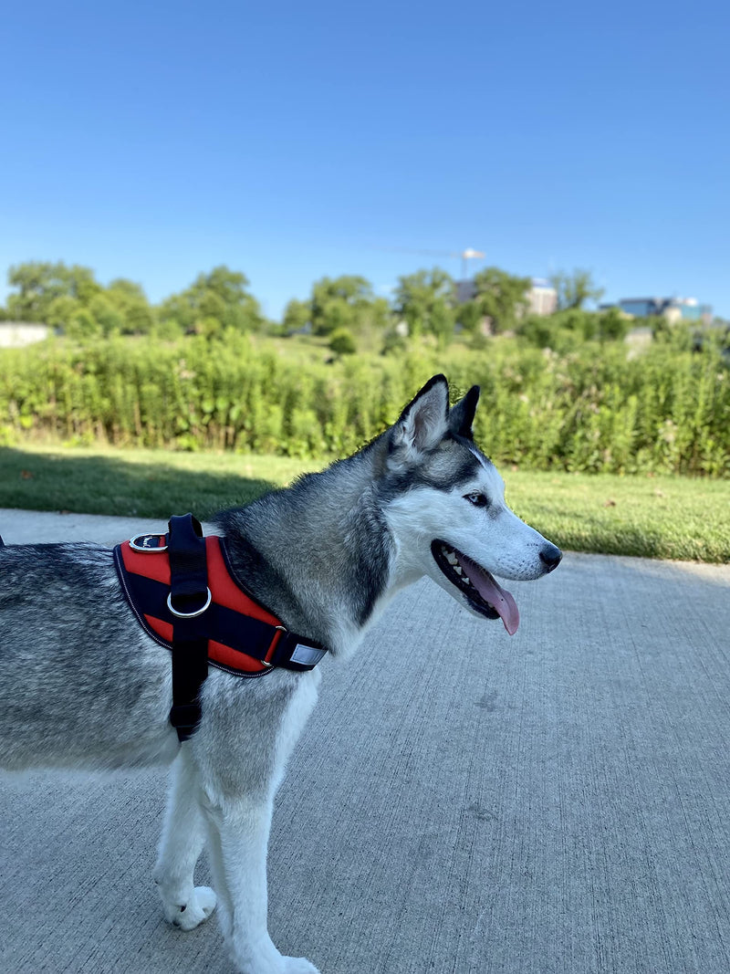 SHAWNCO, Essential Dog Harness, No-Pull Pet Vest with 3 Side Rings, No Choke, Reflective, Adjustable and Padded Pet Harness for Easy Walking and Training Mustang Red S - BeesActive Australia