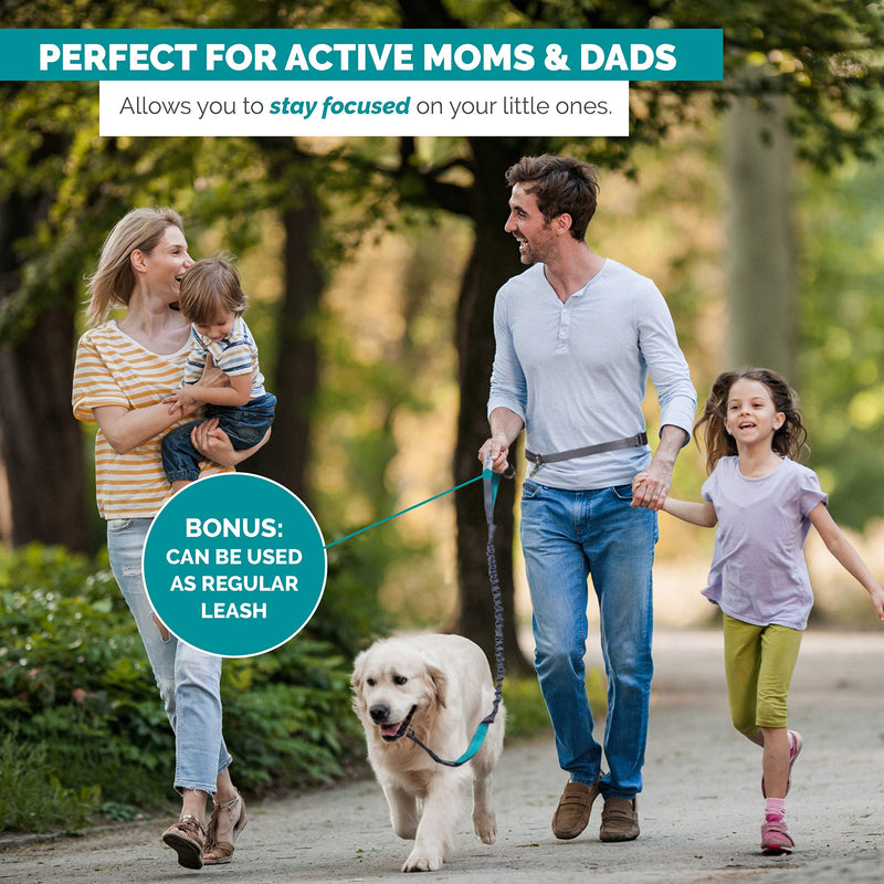 Tuff Mutt Hands Free Dog Leash for Running, Walking, Hiking, Durable Dual-Handle Bungee Leash is 4 Feet Long with Reflective Stitching, Adjustable Waist Belt That Fits 42 Inch Waist green/gray - BeesActive Australia