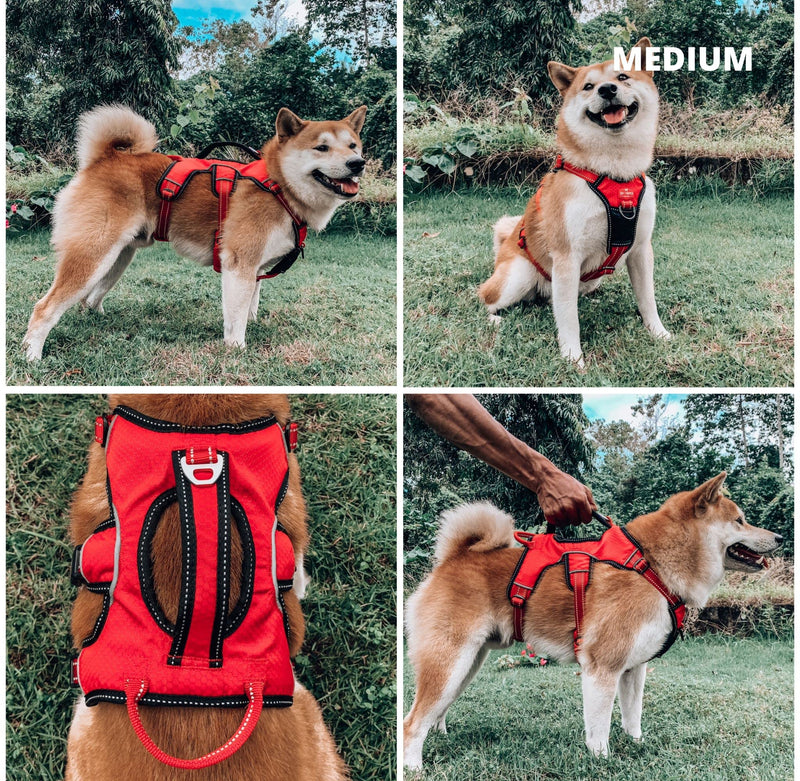 Tuff Pupper Updated for 2022 - Tracker No Escape Dog Harness | Dual Escape Proof Leash Attachments | 5 Point Adjustable Fit Harness for Dogs | Padded Dog Harness for Comfort | Handle Dog Lift Harness Medium (Neck: 18-23" , Chest: 22-31") March Red - BeesActive Australia