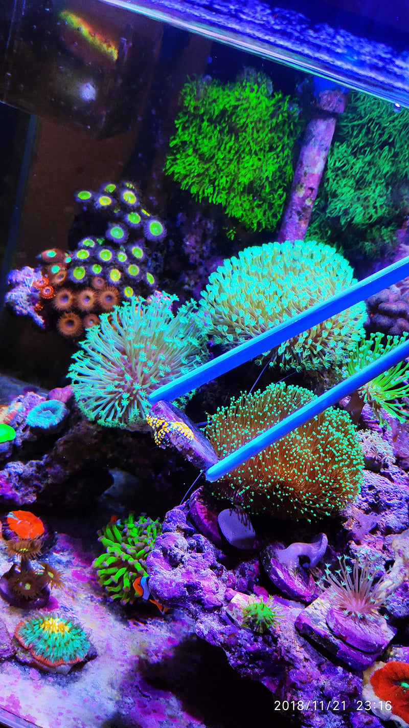 Aquarium Choice Coral Feeder Aquatic Plant Tweezers Tongs Coral frag Clip Tweezers Never Rust - BeesActive Australia