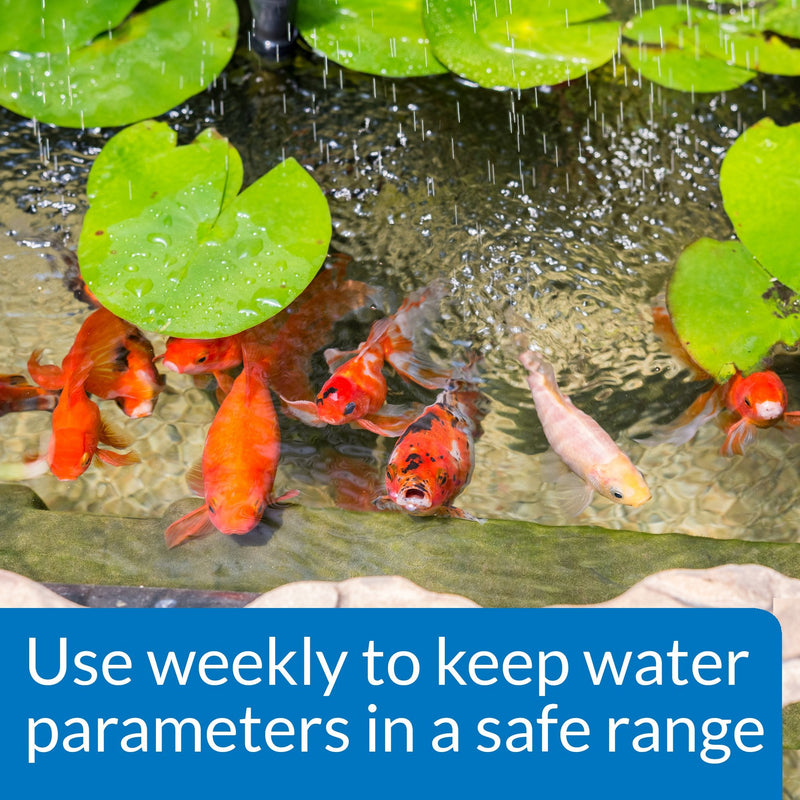 API POND MASTER TEST KIT Pond Water Test Kit 500-Test - BeesActive Australia
