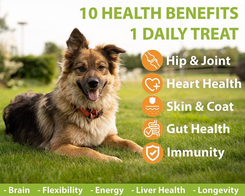 Googipet 10 in 1 Dog Multivitamin with Dog Probiotics for Dogs Gut Health, Dog Vitamins with MSM & Glucosamine for Dogs Hip & Joint Support - Chondroitin & Omega 3 for Skin & Coat - Allergy Support Chicken & Vegetable - BeesActive Australia