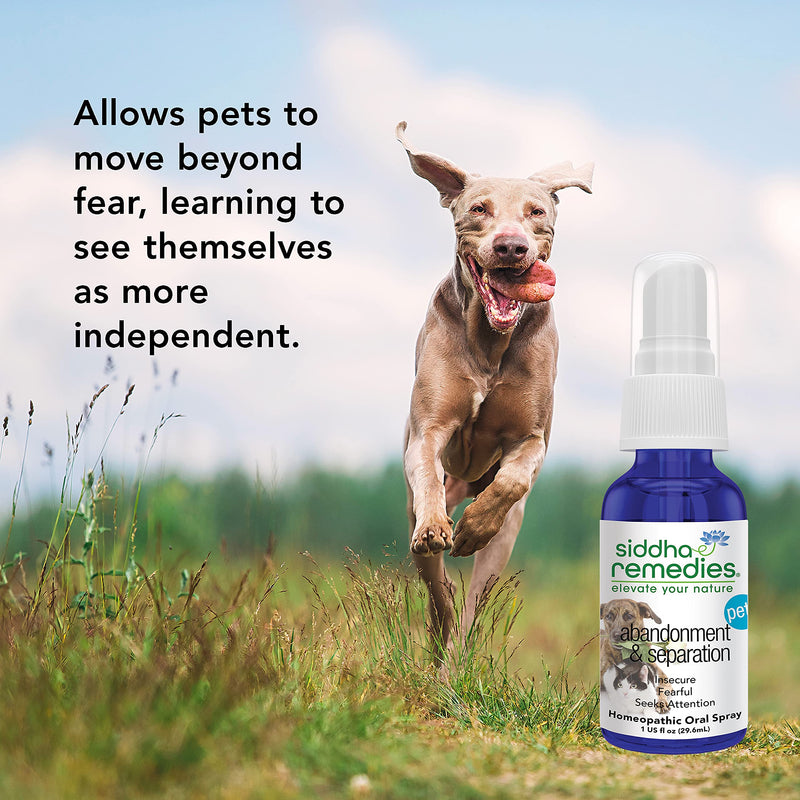 Siddha Remedies Abandonment & Separation for Pets | Natural Homeopathic Remedy for Dogs, Cats, and Animals | Naturally Helps Animals with Fears and Obsessive Behaviors | Supports Healthy Independence - BeesActive Australia