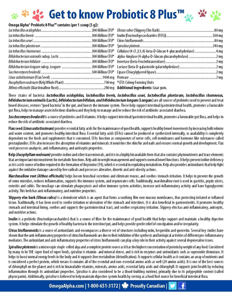 Probiotic 8 Plus 500g(1.1lbs.) - BeesActive Australia