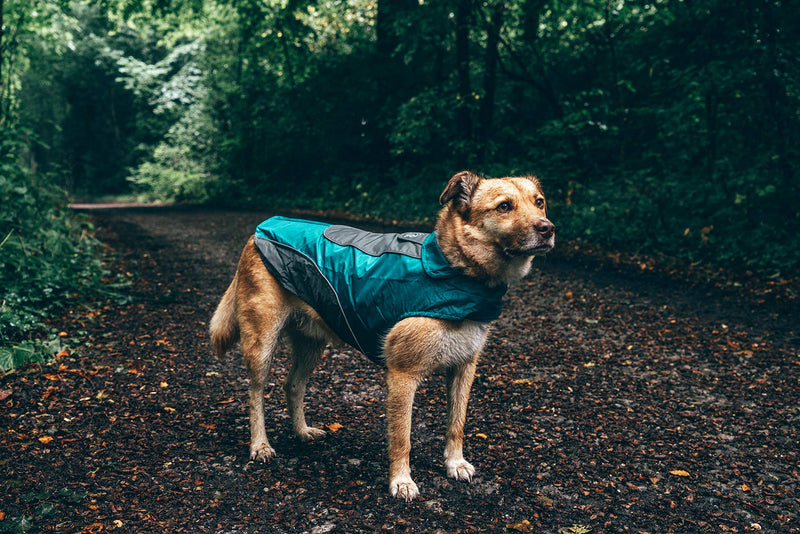 Embark Pets Rain Jacket for Dogs Medium - BeesActive Australia