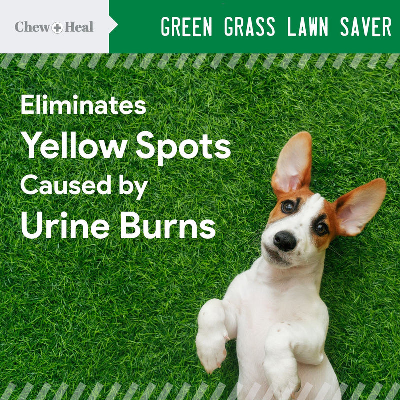 Chew + Heal Dog Lawn Saver, 120 Soft Chews - Reduces Yellow Spots and Burns on Grass from Urine - BeesActive Australia