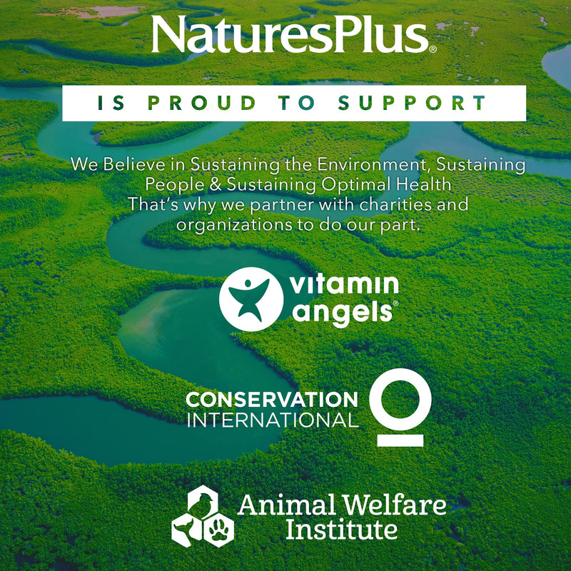 NaturesPlus Source of Life Garden Organic Vitamin K2 - 120 mcg Certified Organic Vitamin K2 MK7 (Menaquinone-7) - Vegan, Gluten Free - 60 Capsules - BeesActive Australia