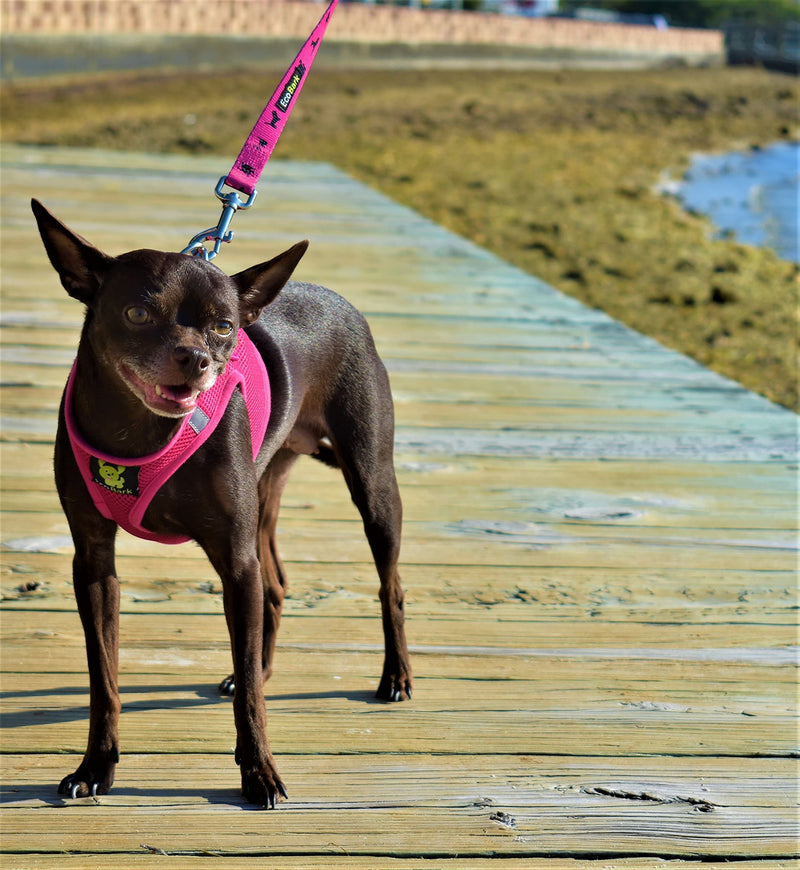 EcoBark Step in Dog Harness Reflective Soft Ultra Padded Mesh Dog Harnesses for XXS, XS, Small, and Medium Dogs Eco-Friendly Comfort Secure Halter No Pull Adjustable Pet Vest XXS- 4 to 5 lbs- Chest Up to 11 in (Pack of 1) Pink - BeesActive Australia
