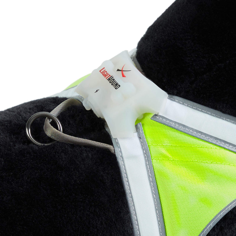 noxgear LightHound – Revolutionary Illuminated and Reflective Harness for Dogs Including Multicolored LED Fiber Optics (USB Rechargeable, Adjustable, Lightweight, Rainproof) Medium - BeesActive Australia