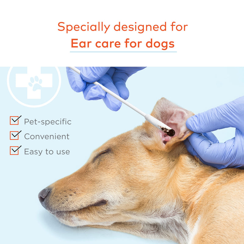 ARCA PET Cotton Swabs for Dogs Cats and Small Pets - Ear Cleaner Swabs with Long Plastic Handle - Ear Cleaning Supply for Puppies and Pets - Multipurpose Cotton Sticks for Pets Craft Makeup 100 Buds - BeesActive Australia
