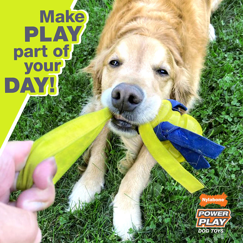 Nylabone Power Play Sports Fetch Toys for Dogs l Dog Toys for The Ultimate Playtime Experience l Excersize Toys for Dogs Medium (1 Count) Soccer - BeesActive Australia