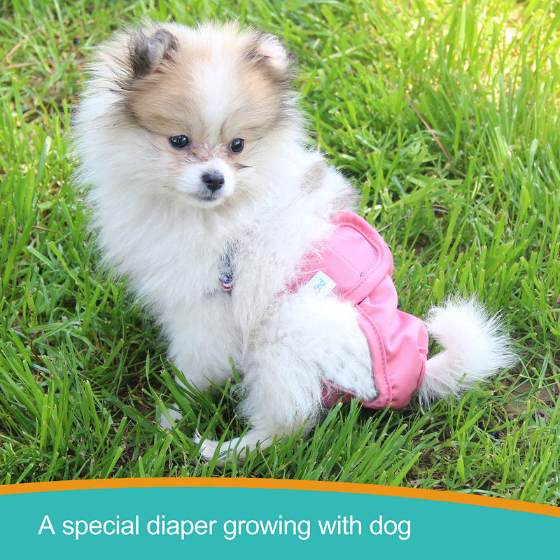 Paw Legend Reusable Female Dog Diapers, Pack of 3 Large (17.5''-27'' Waist) Cheerful (Black Lining) - BeesActive Australia