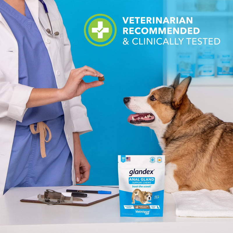 Glandex for Dogs 60ct Anal Gland Support Soft Chews and Glandex Pet Wipes 75ct Bundle - by Vetnique Labs - BeesActive Australia