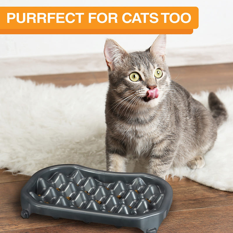 Neater Pet Brands - Neater Slow Feeder - Fun, Healthy, Stress Free Dog Bowl Helps Stop Bloat Prevents Obesity Improves Digestion (2.5 Cup, 6 Cup, Double Diner/w Water Bowl) Gunmetal 2.5 Cup Food - BeesActive Australia