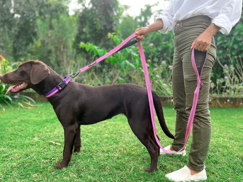 Tuff Pupper Heavy Duty Double Handle Dog Leash | Twist Locking Carabiner Dog Clip | Safety Lock Leash To Hold Strong Dogs | Reflective For Safe Night Walks | 6 Foot Dog Leash | For Medium & Large Dogs 72 Inch (Pack of 1) Hot Pink - BeesActive Australia