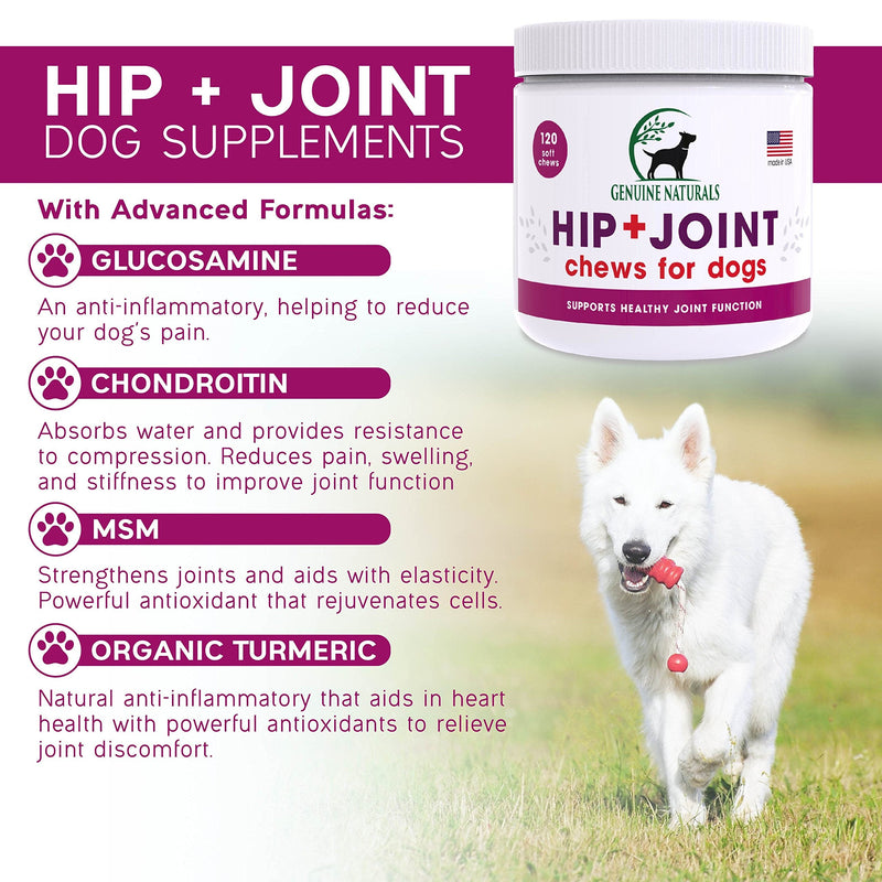 Genuine Naturals™ Glucosamine Chondroitin, MSM, Organic Turmeric Soft Chews, Hip and Joint Supplement for Dogs, Supports Healthy Joint Function and Helps with Pain Relief, 120-Count - BeesActive Australia