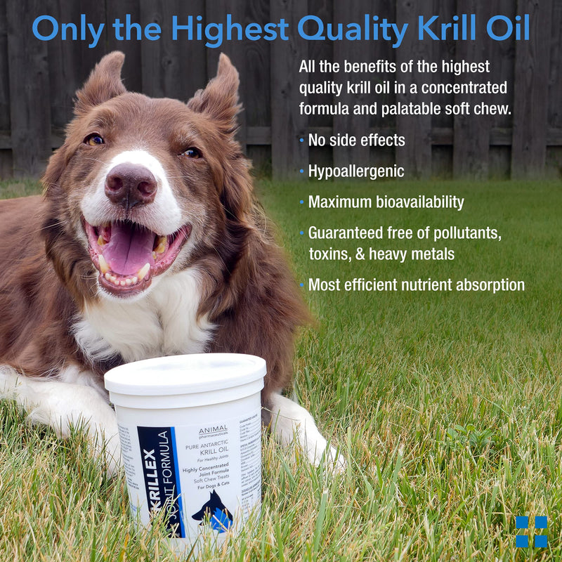 Animal Pharmaceuticals Krillex Joint Formula & Omega 3 Krill Oil for Dogs & Cats - Glucosamine for Dogs - Chondroitin, MSM, & Hyaluronic Acid for Joint Care - Cheese Flavor Chews - 60 ct - BeesActive Australia