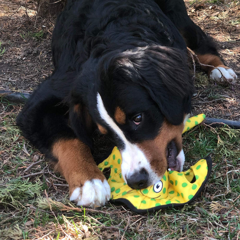 Snuggle Puppy Tender-Tuffs - Yellow Stingray Tug of War Plush Dog Toy - Great for Play and Interaction with Puncture Resistant Squeaker - BeesActive Australia