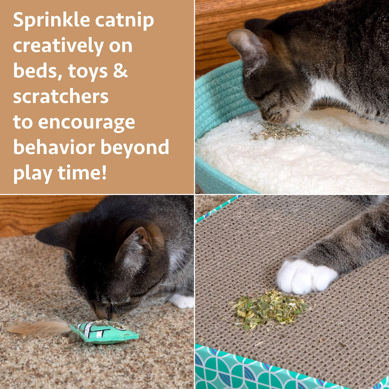 Kitty City Premium Natural Catnip Catnip Bag - BeesActive Australia