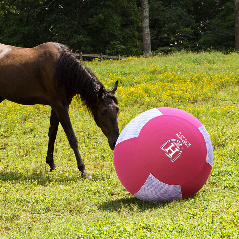 Harrison Howard Howdy Bally Camo Print Mega Ball Cover for Equine 25" Pink Camo Print - BeesActive Australia