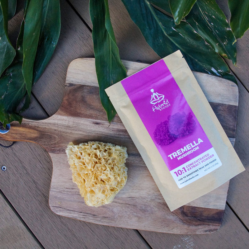 HYBRID HERBS � ORGANIC TREMELLA MUSHROOM | 10:1 Extract Powder | Anti Aging Supplement for Beauty & Skin | Rich in Antioxidants, Beta Glucans, Vitamin D & Prebiotic Fibre | 113 Servings (113g) - BeesActive Australia