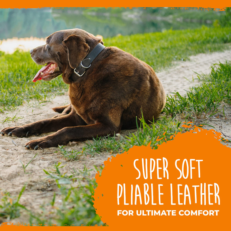 Mighty Paw Leather Dog Collar, Super Soft Distressed Leather- Premium Quality, Modern Stylish Look Medium: 10.25 - 13.5 inches Brown - BeesActive Australia