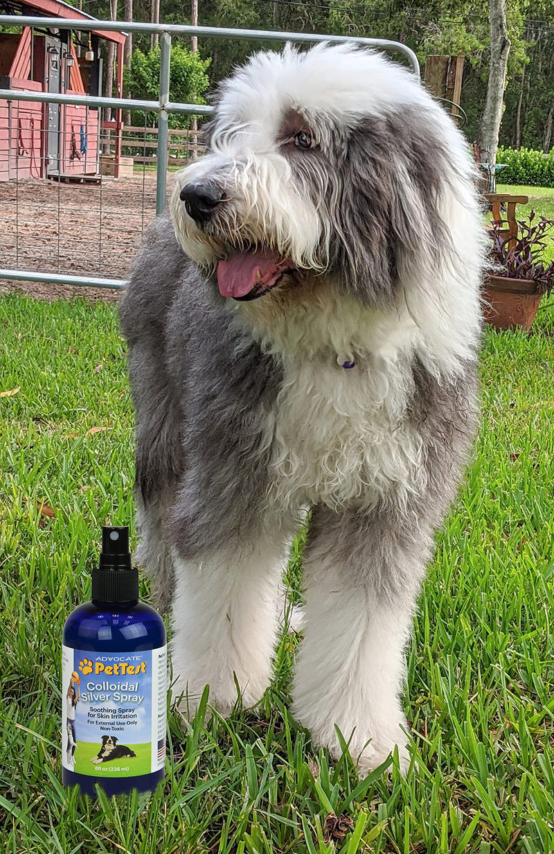 Advocate Pettest Colloidal Silver Spray Formulated for Dogs, Best Dog Antibiotic Treatment for Hot Spots, Burns, Irritations, Rashes, Wounds, Cuts & Scratches 8oz - BeesActive Australia